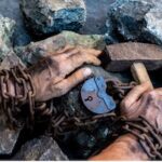 Uyghur Forced Labor