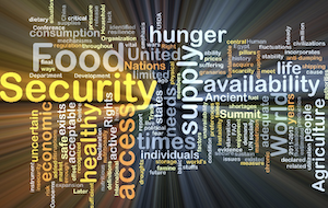 Trade and Food Security